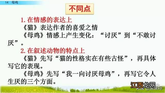 母鸡啥意思呢？母鸡什么意思网络用语，超有用！但很多人却不知道