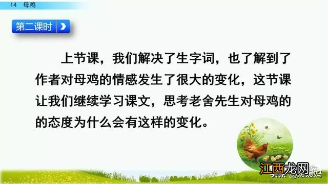 母鸡啥意思呢？母鸡什么意思网络用语，超有用！但很多人却不知道