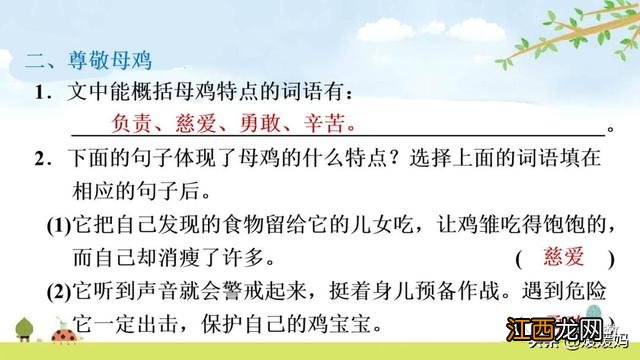 母鸡啥意思呢？母鸡什么意思网络用语，超有用！但很多人却不知道