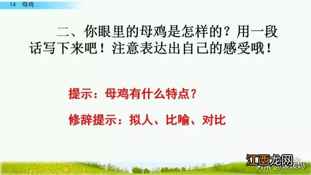 母鸡啥意思呢？母鸡什么意思网络用语，超有用！但很多人却不知道