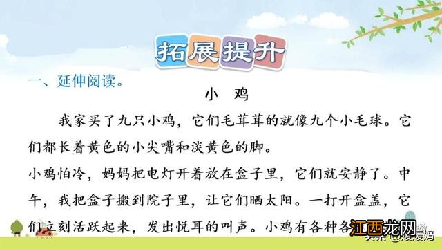 母鸡啥意思呢？母鸡什么意思网络用语，超有用！但很多人却不知道