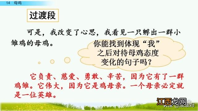 母鸡啥意思呢？母鸡什么意思网络用语，超有用！但很多人却不知道