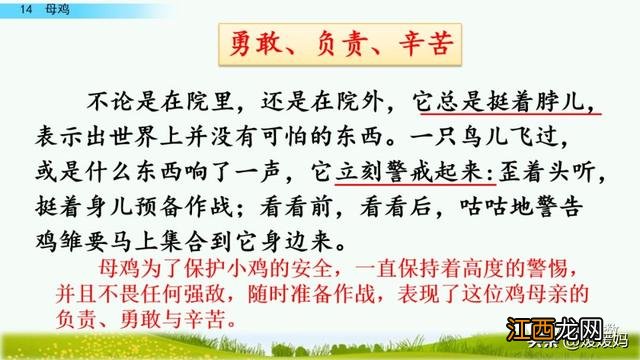 母鸡啥意思呢？母鸡什么意思网络用语，超有用！但很多人却不知道