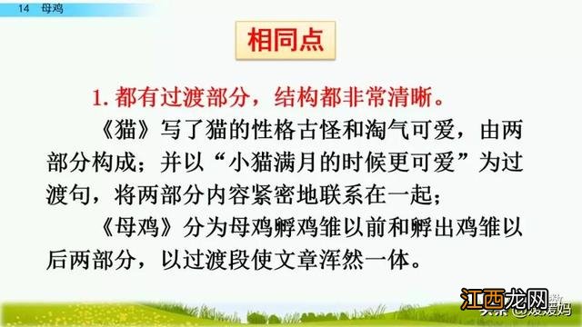 母鸡啥意思呢？母鸡什么意思网络用语，超有用！但很多人却不知道