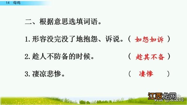 母鸡啥意思呢？母鸡什么意思网络用语，超有用！但很多人却不知道