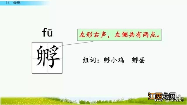 母鸡啥意思呢？母鸡什么意思网络用语，超有用！但很多人却不知道