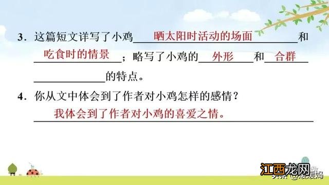 母鸡啥意思呢？母鸡什么意思网络用语，超有用！但很多人却不知道