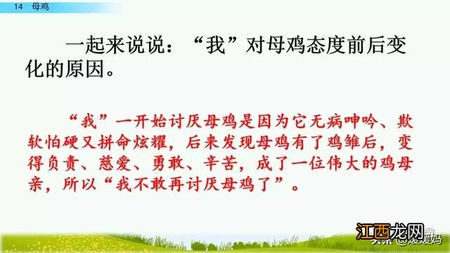 母鸡啥意思呢？母鸡什么意思网络用语，超有用！但很多人却不知道