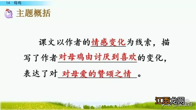 母鸡啥意思呢？母鸡什么意思网络用语，超有用！但很多人却不知道