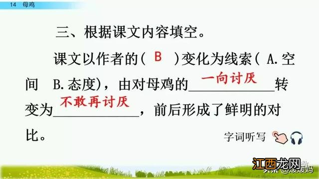 母鸡啥意思呢？母鸡什么意思网络用语，超有用！但很多人却不知道