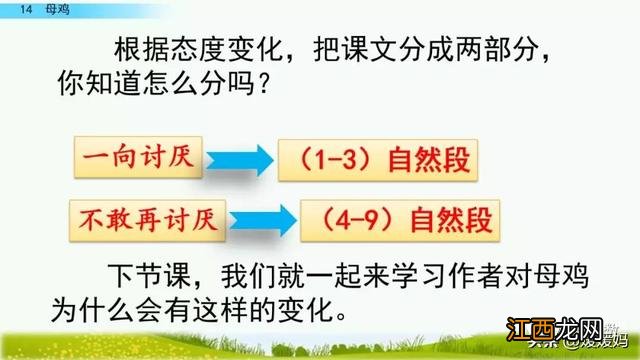 母鸡啥意思呢？母鸡什么意思网络用语，超有用！但很多人却不知道