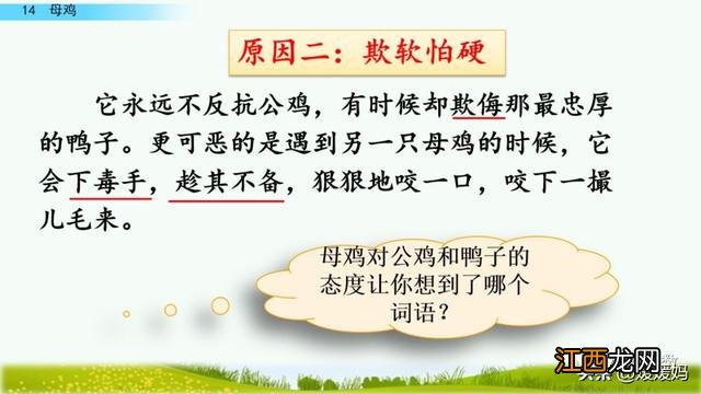 母鸡啥意思呢？母鸡什么意思网络用语，超有用！但很多人却不知道