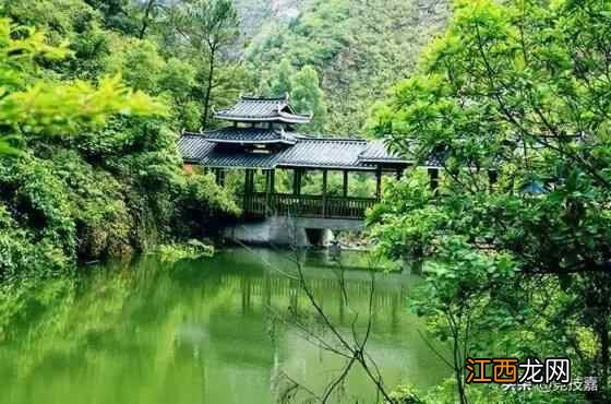 「广东肇庆紫云谷」媲美九寨沟的自然景区，吸氧戏水，沐浴山泉