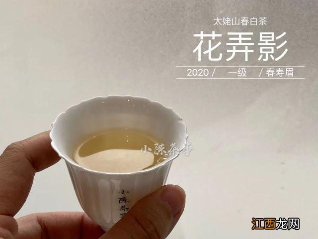 白茶什么时候喝好？白茶是属于什么茶，看懂这几点就够了