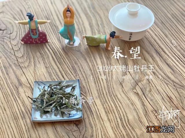 白茶什么时候喝好？白茶是属于什么茶，看懂这几点就够了