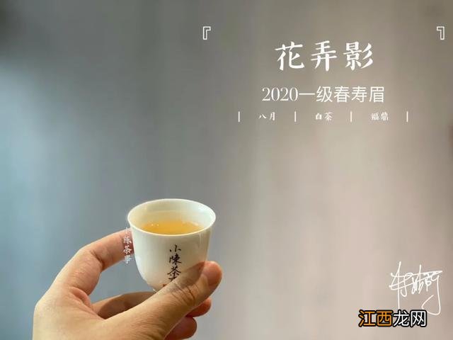 白茶什么时候喝好？白茶是属于什么茶，看懂这几点就够了