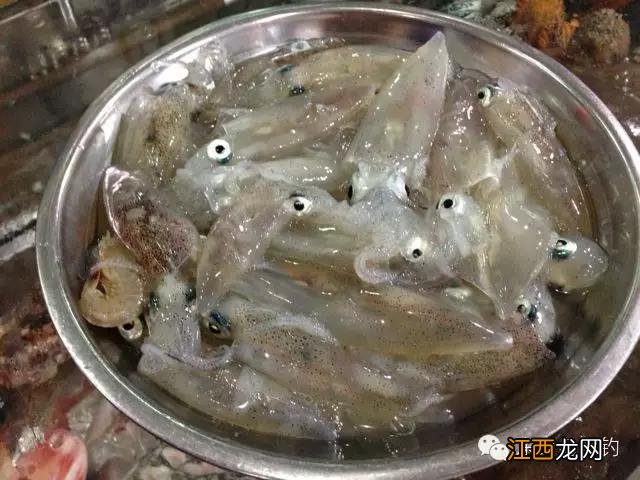 鱿鱼是什么样子？鱿鱼坏了是什么样，总结了这几点，快看