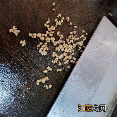 猪肚不能和什么一起吃？猪肚忌与什么一起吃，建议了解一下