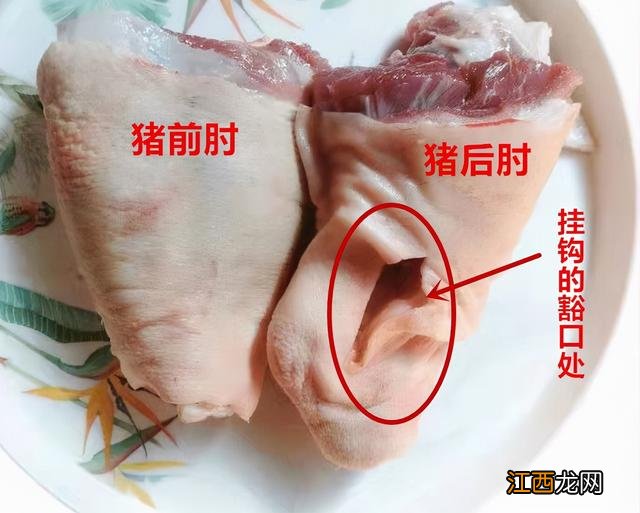 终于知道了 猪肘子是什么东西啊？猪肘子是什么肉，看完