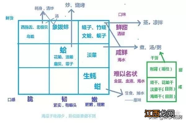 蛏子属于什么类？蛏子是啥玩意儿，这些知识别大意