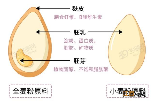 什么面包营养健康？面包的营养构成，这篇文章讲清楚了