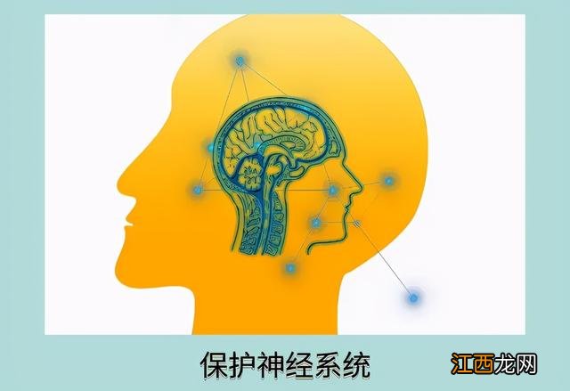 白果鱼是什么样的？白果子鱼是白姑鱼吗，科普文章来了