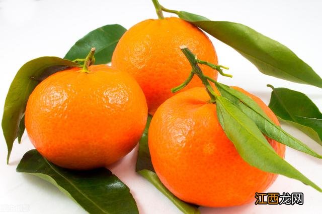 橘子可以做什么甜品吃?橘子自制小甜品,这篇文章有详解