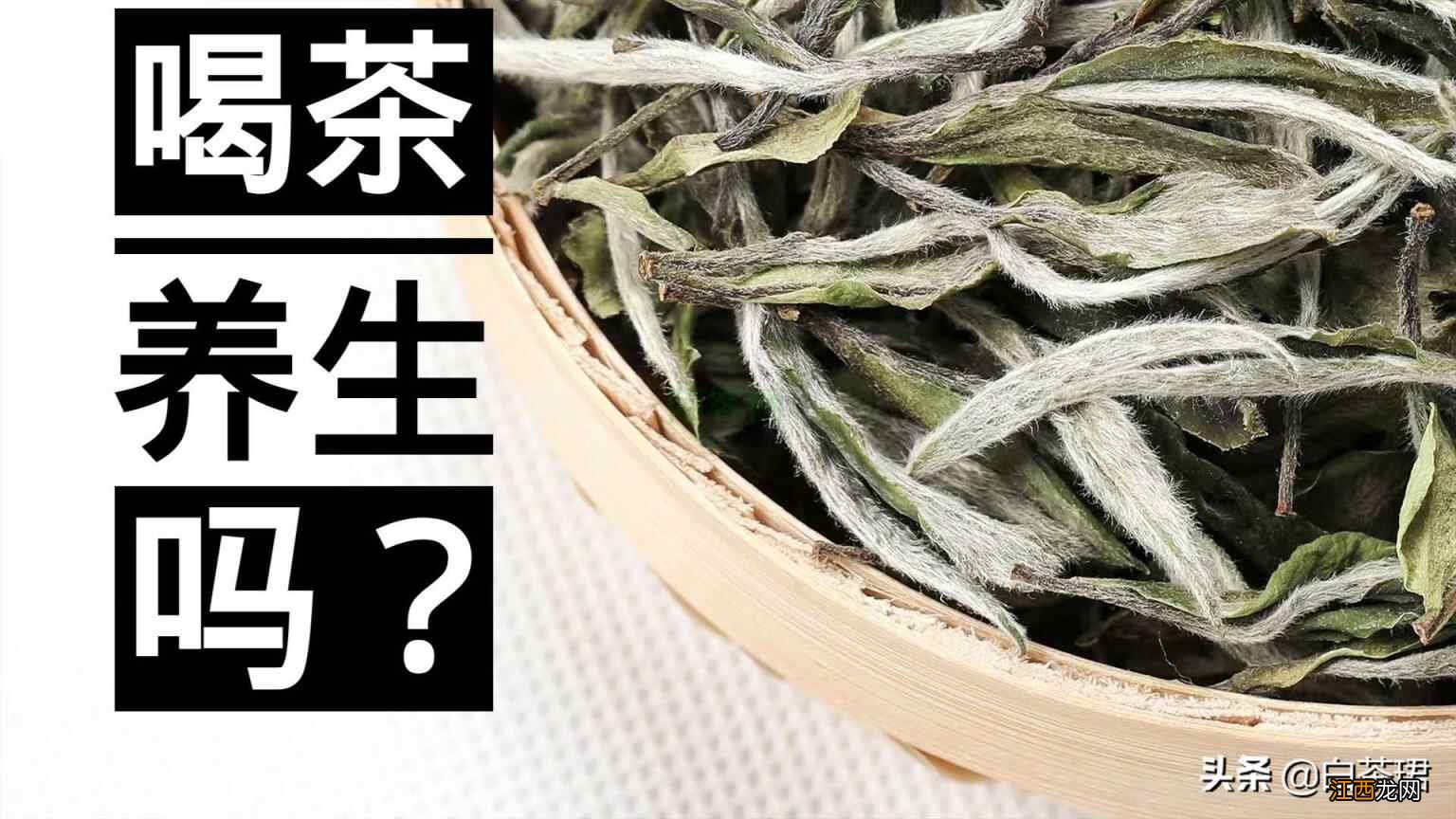 喝茶养生 六大茶要对应这9种体质 喝错影响健康