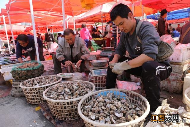 黑头是什么鱼类？黑头是什么鱼图片，攻略全解读，点开就知道!