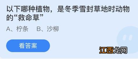 以下哪种植物是冬季雪封草地时动物的救命草蚂蚁庄园3月12日答案 以下哪种植物是冬季雪封草地时动物的救命草蚂蚁庄园