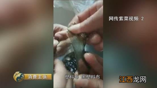 什么样的紫菜好？纯紫菜什么品牌好，他们选择点开这里，你呢?