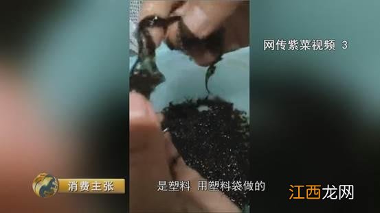 什么样的紫菜好？纯紫菜什么品牌好，他们选择点开这里，你呢?