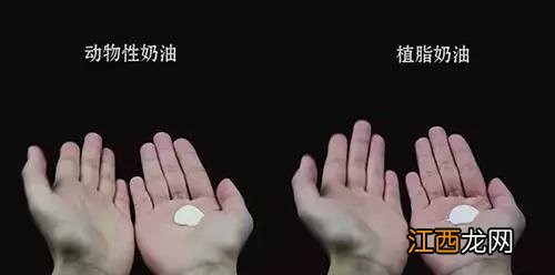 动物奶油是什么成分的？动物奶油为啥叫动物奶油，简单无难度