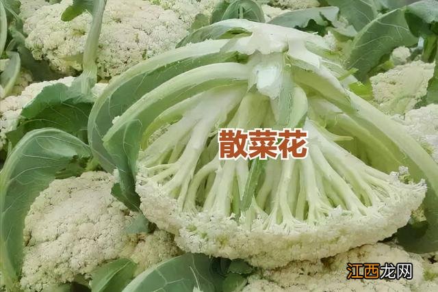 散花菜和椰菜的区别？花椰菜的营养价值高吗，保存了，太实用！