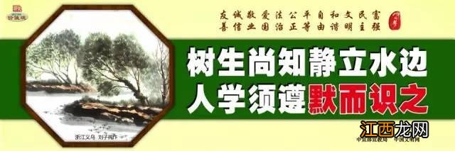 红葱有什么功效和作用？红葱图片，知识科普来了