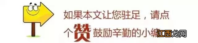 红葱有什么功效和作用？红葱图片，知识科普来了