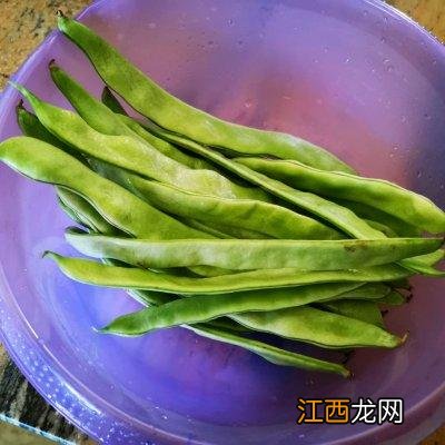 豆角可以做什么菜好吃？豆角能炒啥菜，还请你耐心看完[围观]