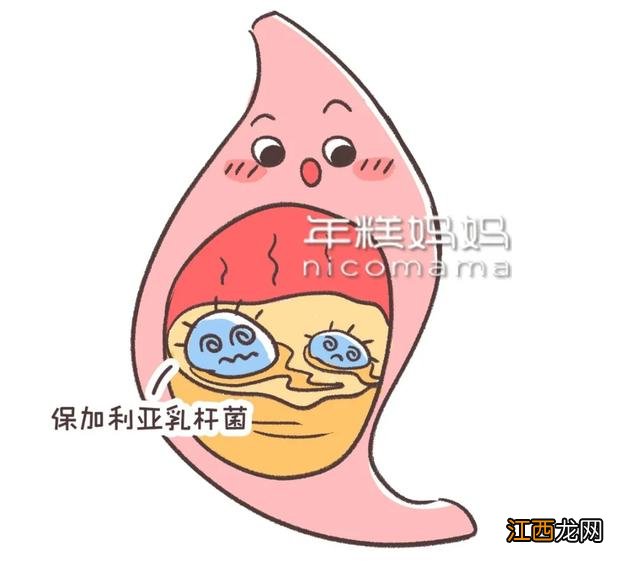 吃什么可以补充乳酸菌呢？吃什么能促进乳酸菌，提升level的文章