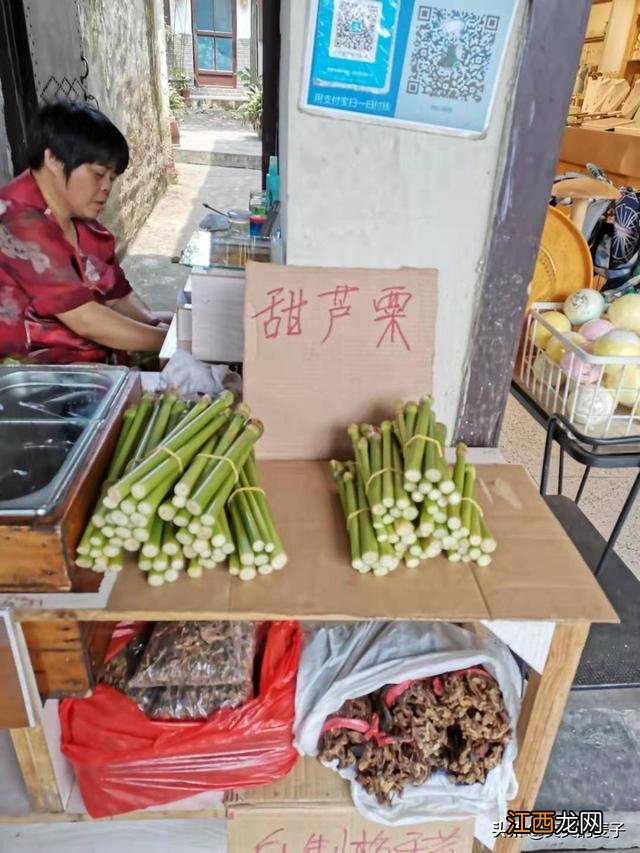 甜芦粟有什么作用？芦粟的营养价值及功效，文章引网友点赞