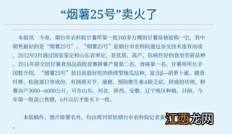 红薯哪个季节成熟？烟薯25红薯成熟时间，少花时间看完这文章