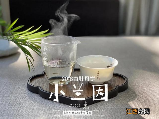 相思茶是怎样的？相思茶制茶过程，点开这里寻高招