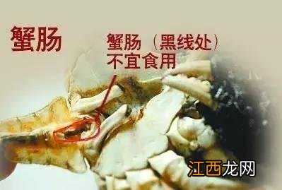 什么时候吃海螃蟹比较好？海螃蟹什么时候吃是最佳时间，此文章获得1.5万赞同