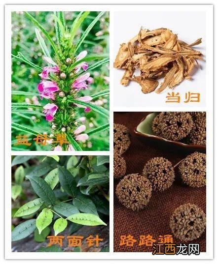 什么活血药物比较好？活血的药有哪些，看完文章，恍然大悟