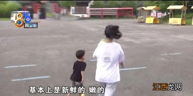 莲子是什么味道的？莲子属于什么味，还请你耐心看完[围观]