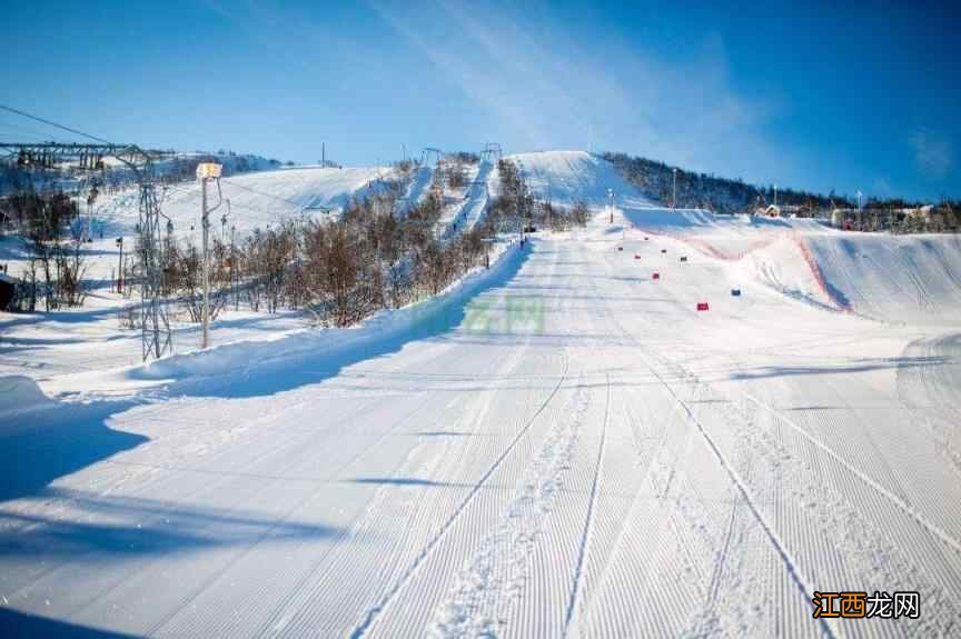 北京冬奥会：滑雪这项运动可以减肥吗？答案来了