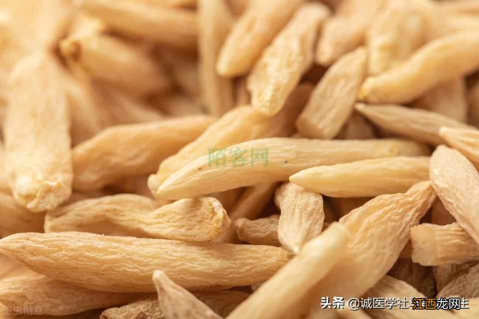 健康养生，延年益寿？一剂5味药，补血增气，益精固本