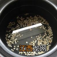 鸭肉跟石斛能一起吃吗？石斛能不能煲鸭汤，详细讲解，不懂来