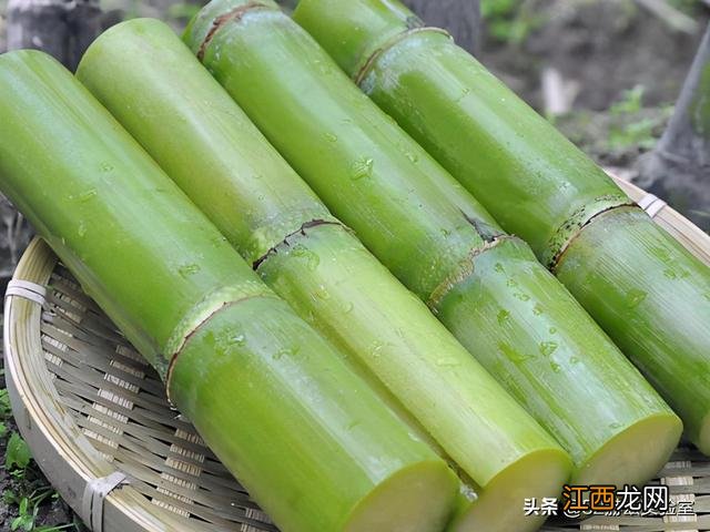 怎样把甘蔗做成糖?甘蔗怎么才能制作成糖,教你几招块来收藏