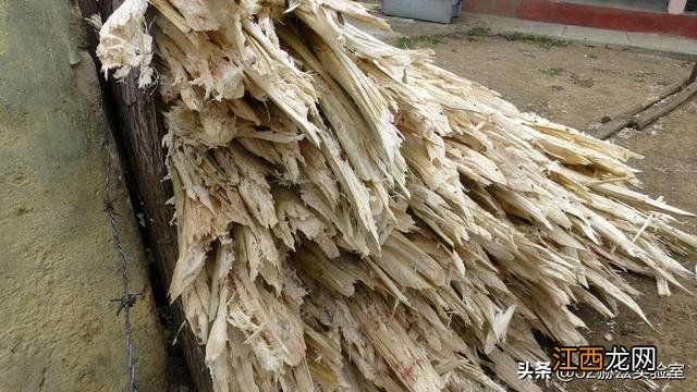 怎样把甘蔗做成糖?甘蔗怎么才能制作成糖,教你几招块来收藏