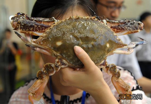 十一吃什么海鲜最好？十一海鲜美食，值得点赞[赞][赞][赞]